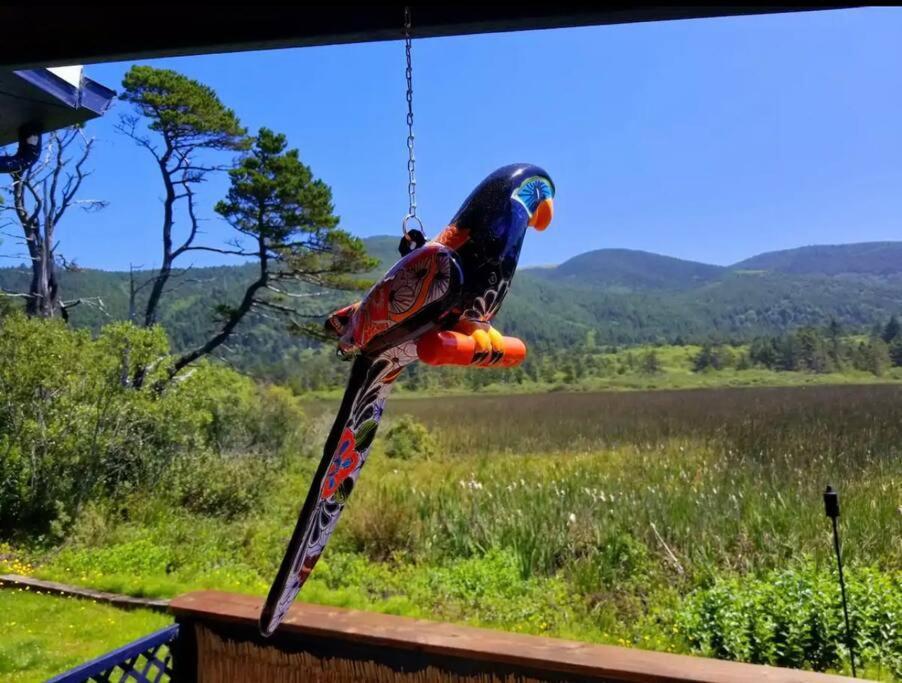 Villa Tiki Escape W/ Amazing Mountain And Marsh Backdrop Rockaway Beach Esterno foto